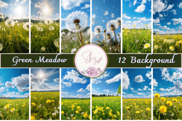 Green Meadow and Blue Sky Backgrounds: Your Project's Fresh Start